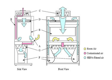 Class 2 Biological Safety Cabinet HEPA ISO 5 class / ULPA ISO 4 class